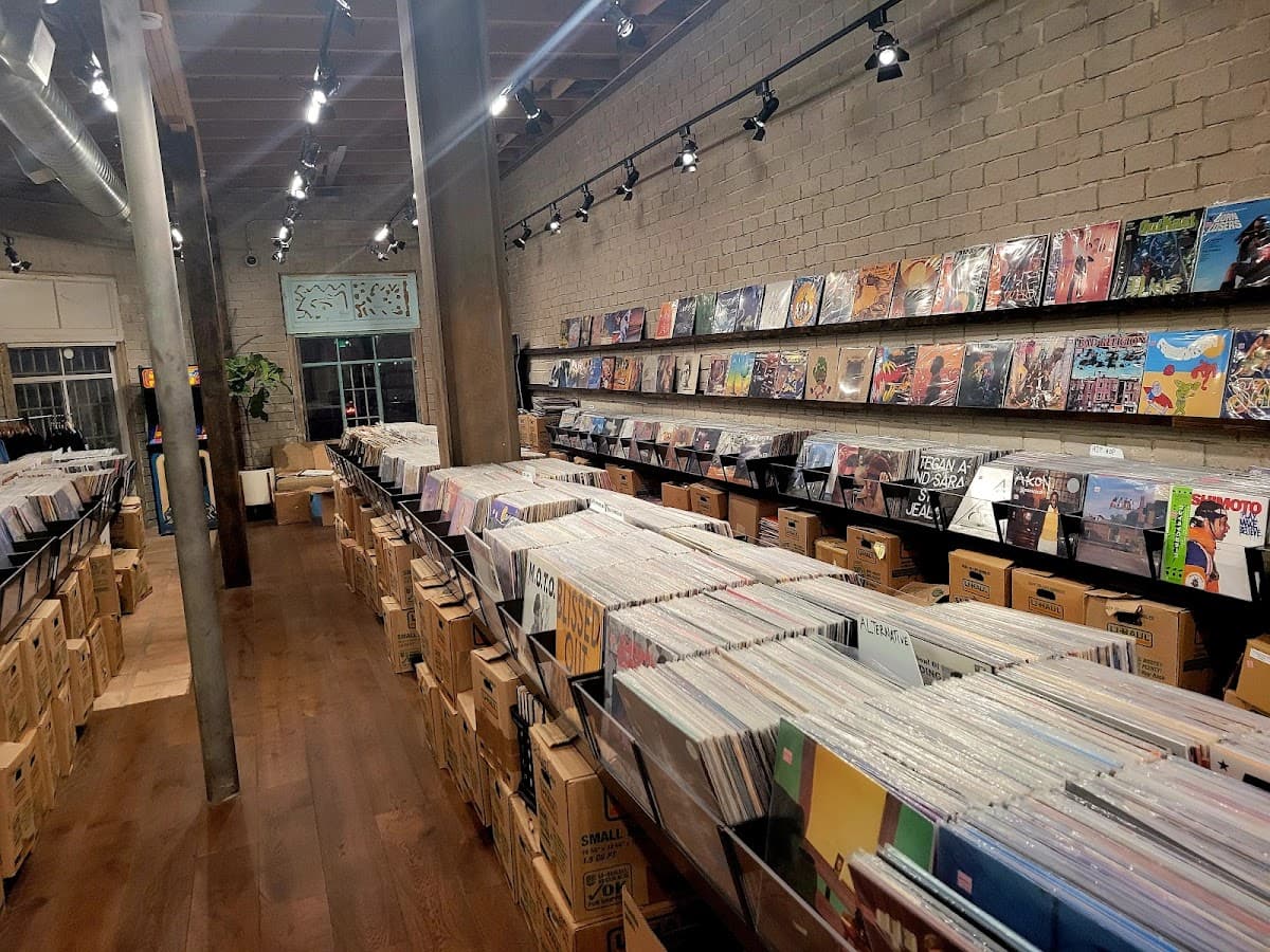 Record Safari