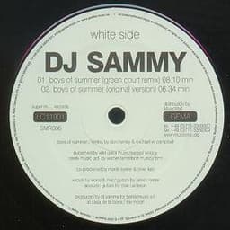 DJ Sammy — Boys Of Summer
