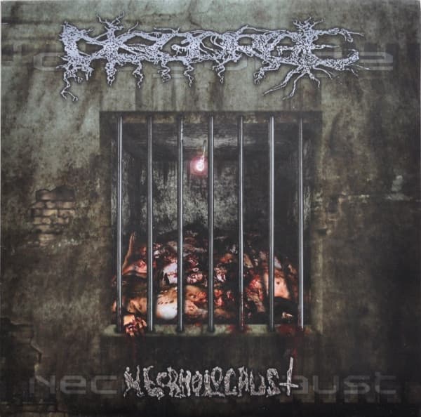 Disgorge — Necrholocaust