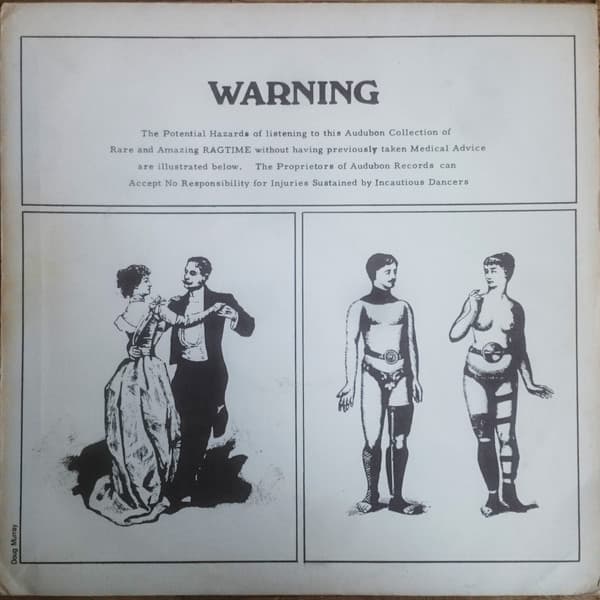 Various, Roy Spangler, Fred Van Eps, Orchester des "Palais de Danse" Berlin, Joseph Moskowitz, Mike Bernard, Mike Bernard, Fred Van Eps, Orquestrina Verdura, Chris Chapman, Harry Thomas — Audubon Collection Of Rare & Amazing Ragtime