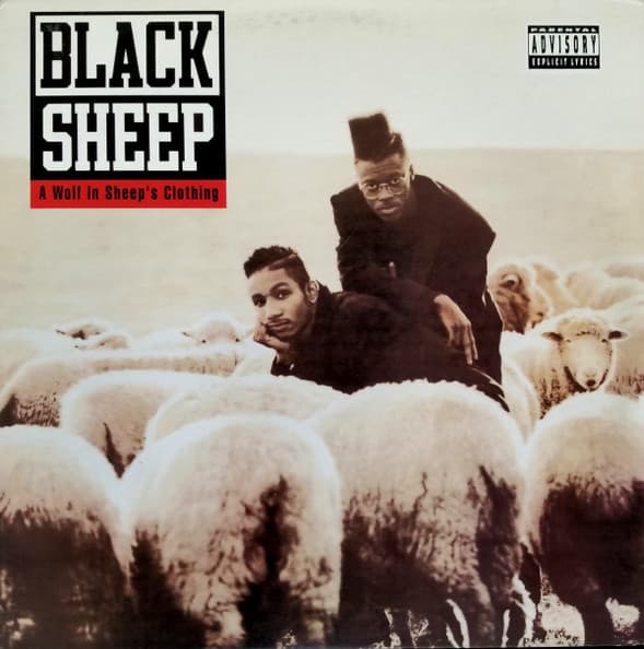 Black Sheep — A Wolf In Sheep's Clothing