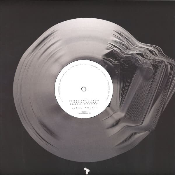 Hieroglyphic Being, Sarathy Korwar, Shabaka Hutchings — Association For Research & Enlightenment Project