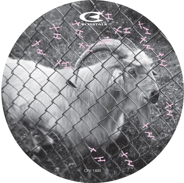 Chimp Beams — Journey To BK