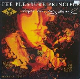 The Pleasure Principle — Trip To My Soul
