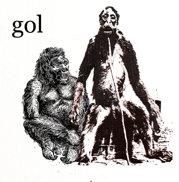 Gol