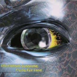 California Sunshine — Flying Eye Land