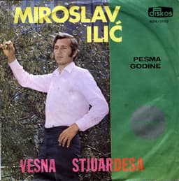 Miroslav Ilić — Vesna Stjuardesa
