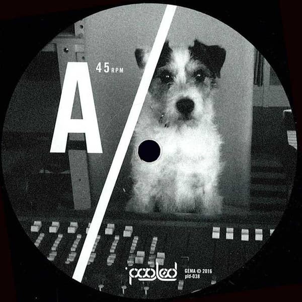 Ian Pooley — Turakina EP