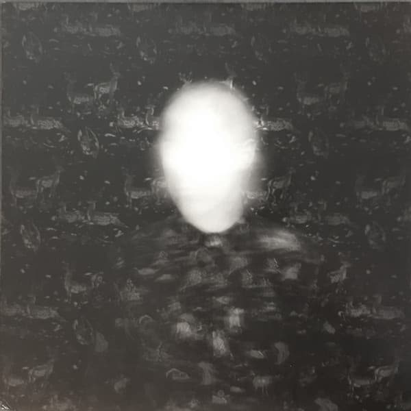 Mezzanine Swimmers — Black Cat In Heat