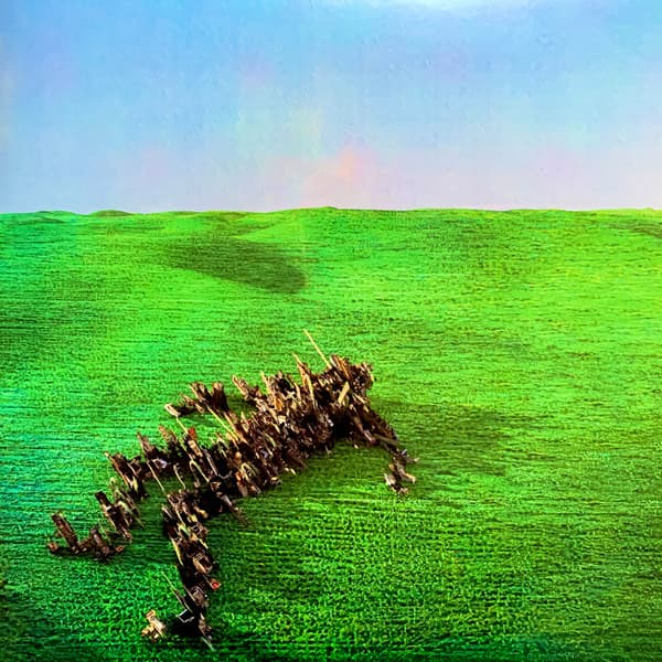 Squid — Bright Green Field