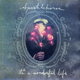Sparklehorse — It's A Wonderful Life
