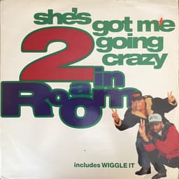 2 In A Room — She's Got Me Going Crazy