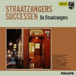 De Straatzangers — Straatzangers Successen