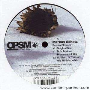 Markus Schatz — Frozen Flowers