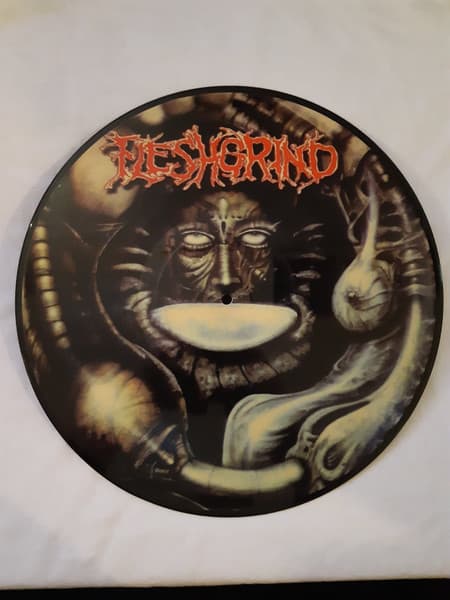 Fleshgrind — Destined For Defilement