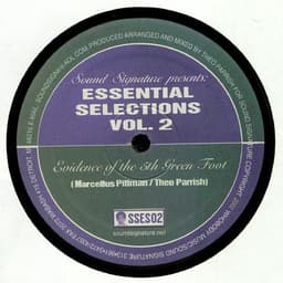 Theo Parrish, Marcellus Pittman — Essential Selections Vol. 2