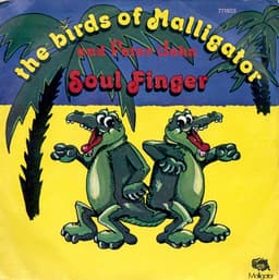 The Birds Of Malligator, Peter John — Soul Finger