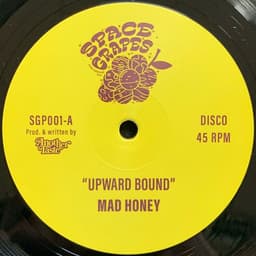 Mad Honey — Upward Bound