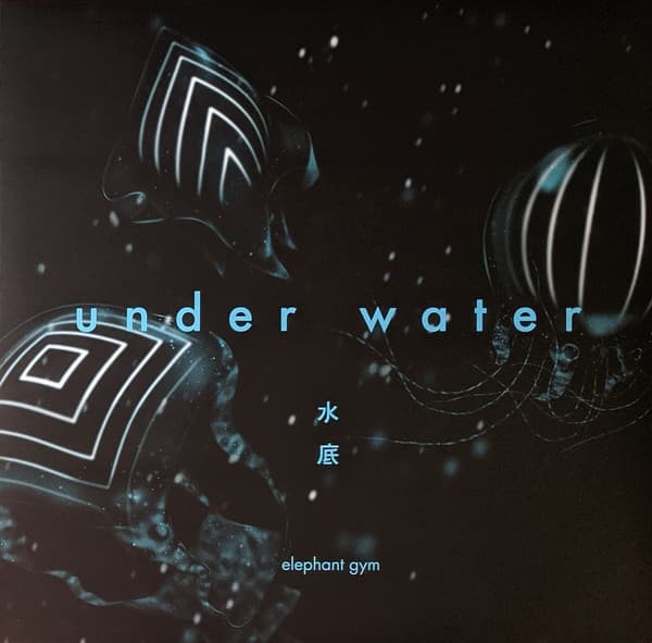 Elephant Gym — Underwater
