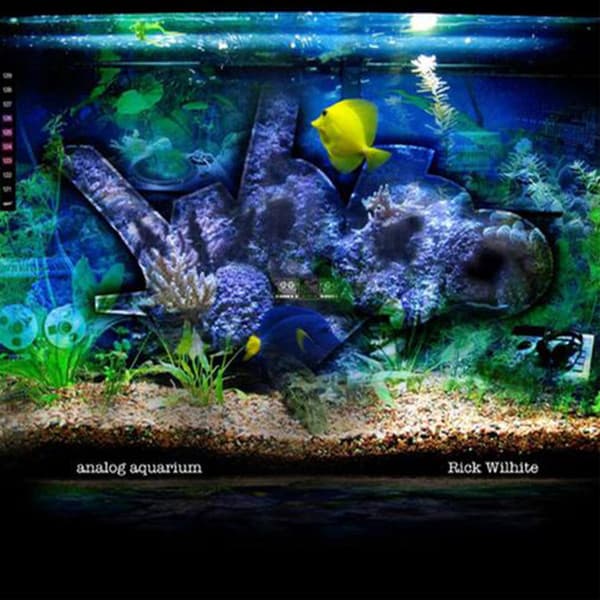 Rick Wilhite — Analog Aquarium