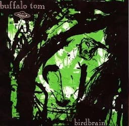 Buffalo Tom — Birdbrain