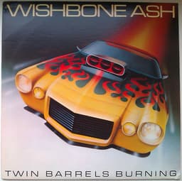 Wishbone Ash — Twin Barrels Burning