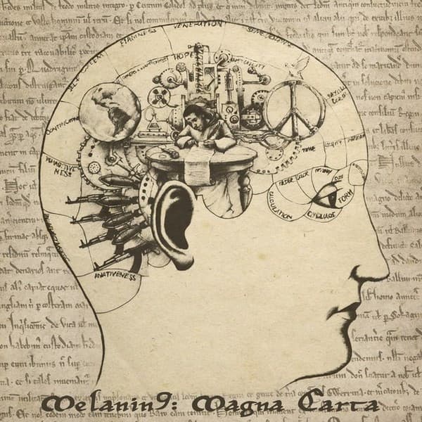 M9 — Magna Carta