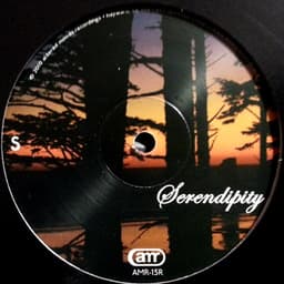 Serendipity — See The Beauty