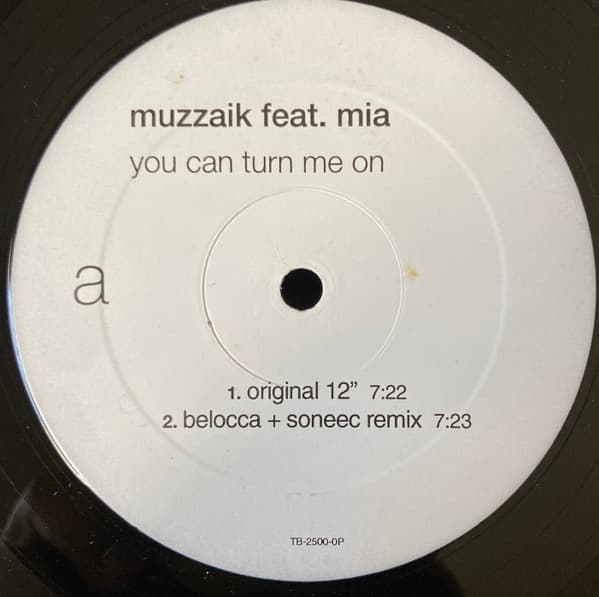 Muzzaik, Mia — You Can Turn Me On