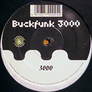 Buckfunk 3000 — 3000 / Economics