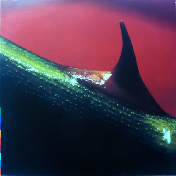 Nusrat Fateh Ali Khan, Michael Brook — Night Song