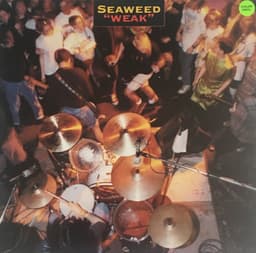 Seaweed — Weak