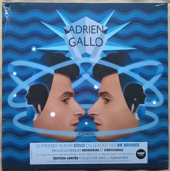 Adrien Gallo — Gemini