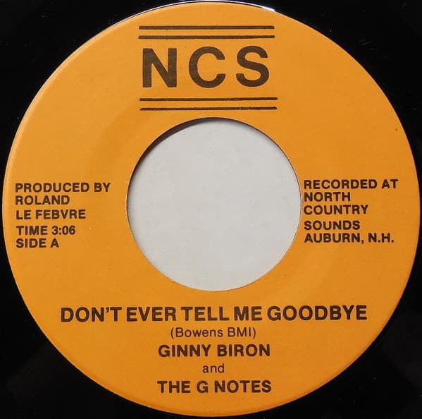 Ginny Biron — Don't Ever Tell Me Goodbye