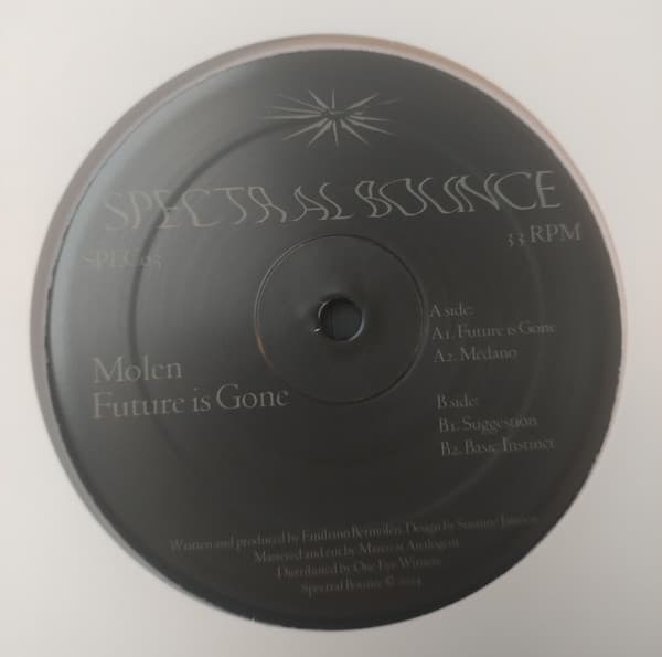 Molen — Future is Gone
