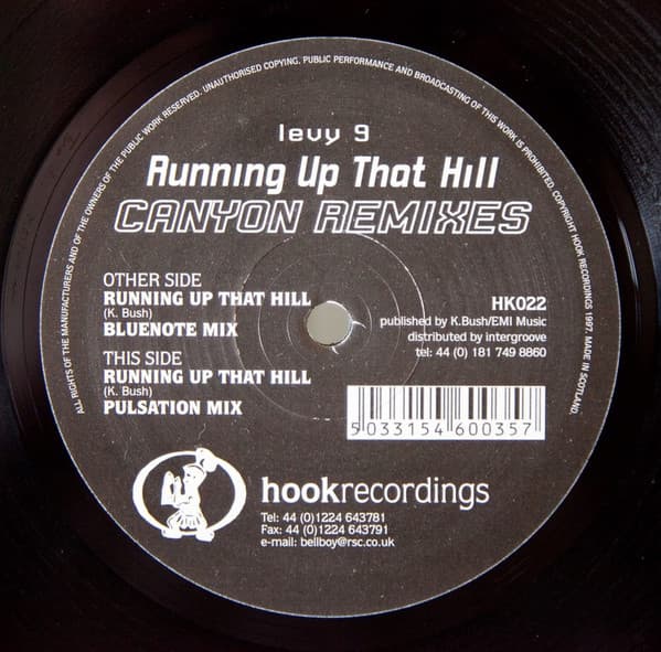 Levy 9 — Running Up That Hill (Canyon Remixes)