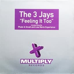 The 3 Jays — Feeling It Too