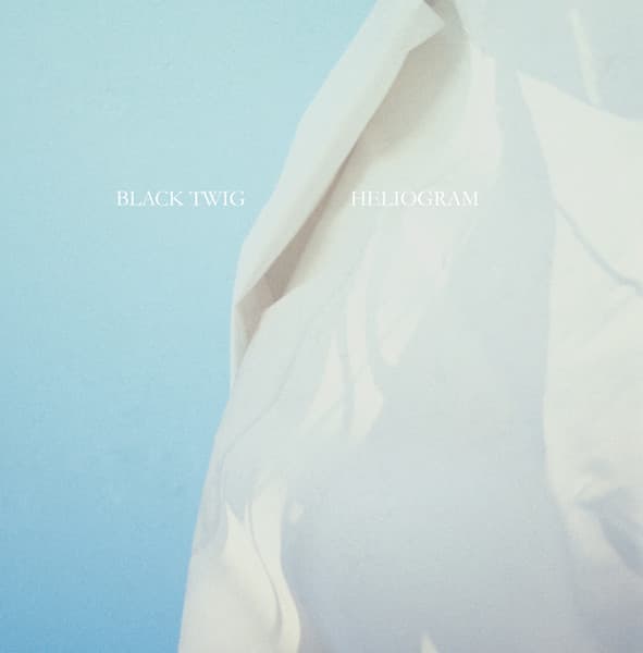 Black Twig — Heliogram