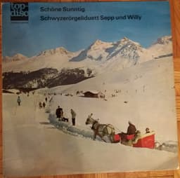Schwyzerörgeli Sepp Und Willy — Schöne Sunntig