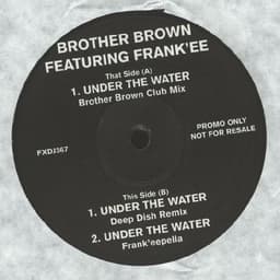 Brother Brown, Frank'ee — Under The Water