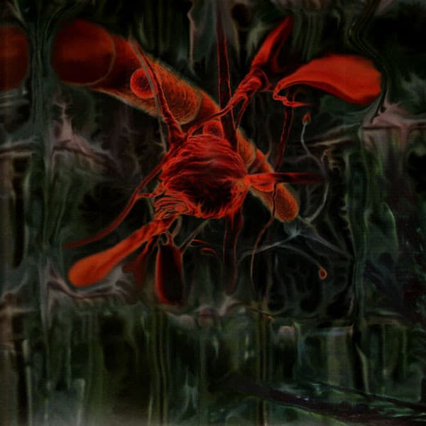 Peverelist — Jarvik Mindstate
