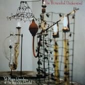 Primordial Undermind — Yet More Wonders Of The Invisible World