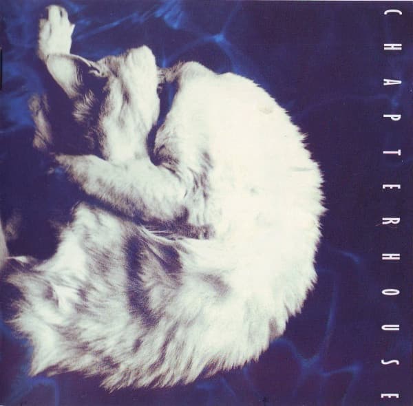 Chapterhouse — Whirlpool