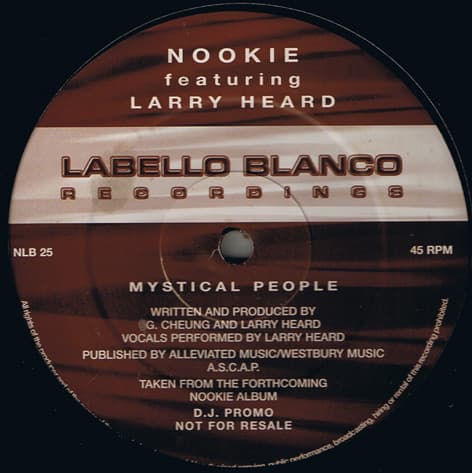 Nookie, Larry Heard — Mystical People